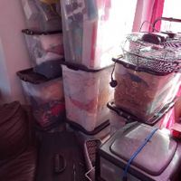 Removals