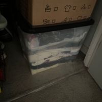 Removals