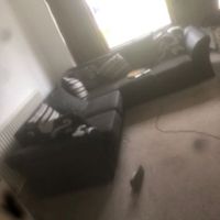 Removals