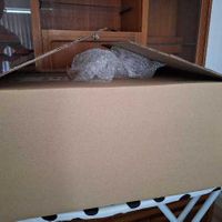 Removals